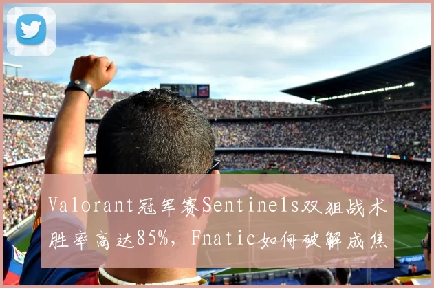 Valorant冠军赛Sentinels双狙战术胜率高达85%，Fnatic如何破解成焦点