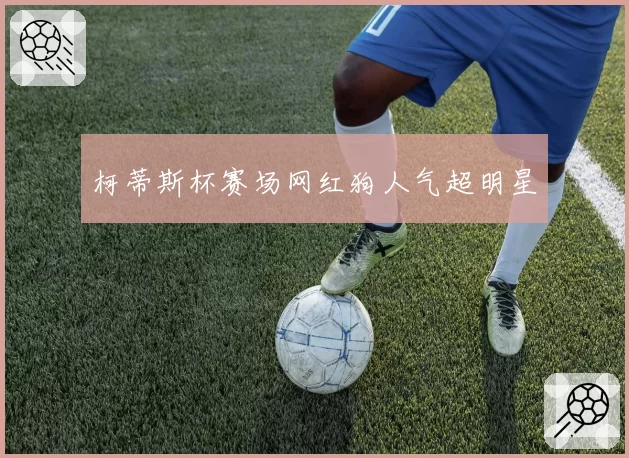 柯蒂斯杯赛场网红狗人气超明星