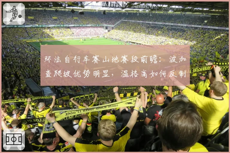 环法自行车赛山地赛段前瞻:波加查爬坡优势明显,温格高如何反制?