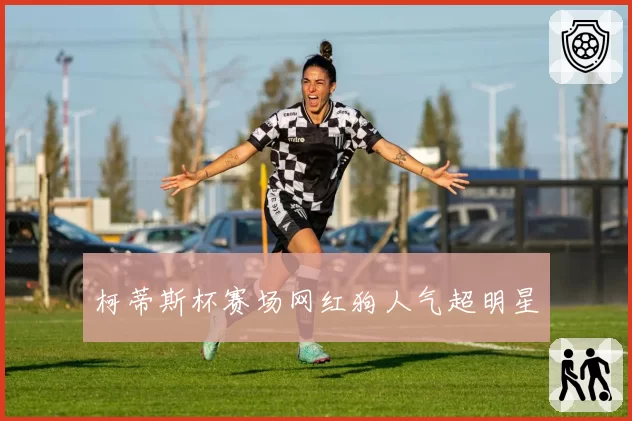 柯蒂斯杯赛场网红狗人气超明星